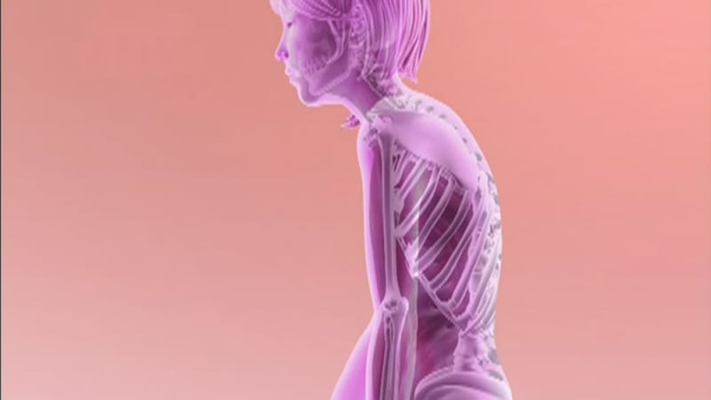 【姿勢が悪い方に】身に着けるだけで美姿勢を目指せるアイテムが便利すぎ