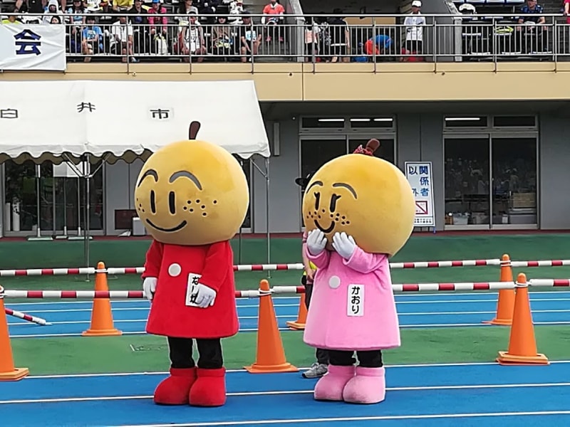 ７月14日エントリースタート、梨食べ放題が嬉しい、白井梨マラソンを走る