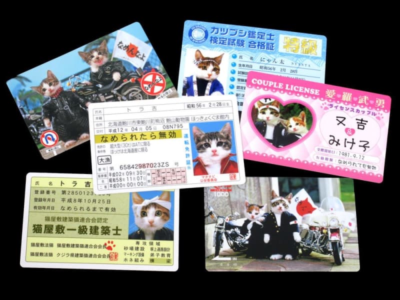 「なめ猫」は令和になっても進化中　【覚えていますか？このおもちゃ(6)】