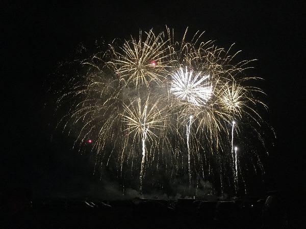 【印旛郡】SAKAEリバーサイド・フェスティバルで花火5000発！8月24日開催