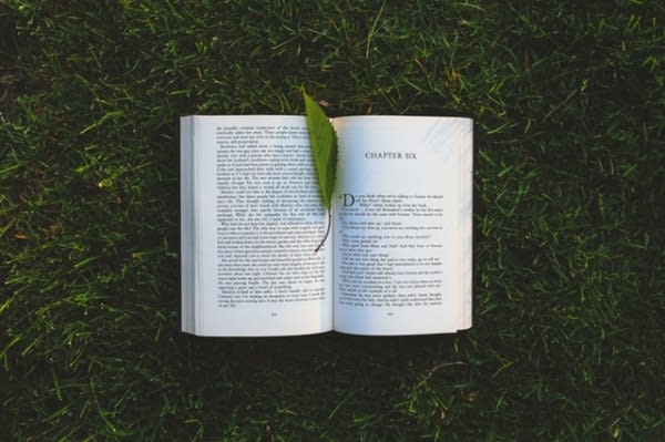 あなたの人生を象徴。「船の夢」の暗示