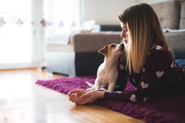 モテ期到来！　たくさんの子犬の夢が暗示するもの