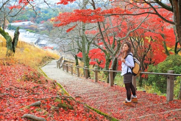 人と一緒は気をつかう？　40・50代男性は一人旅に興味がある傾向　最近では珍しくなくなったひとり旅。してみたいと思う人はどのくらいいるのだろう。