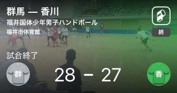 ハンドボール 試合サマリー